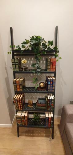 Apartamento Dindurra Lux