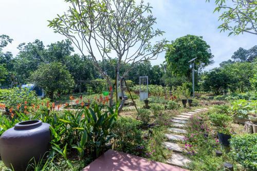 Agroturismo Th�i Gia Trang Farmstay