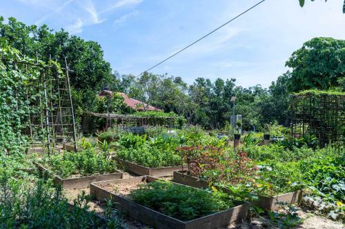 Agroturismo Th�i Gia Trang Farmstay