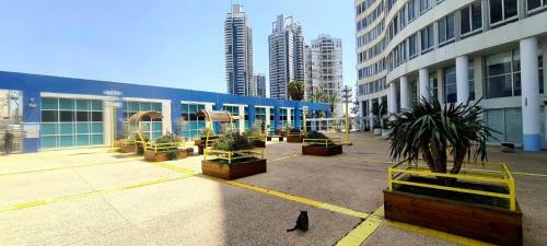 Apartamento Colony Suite