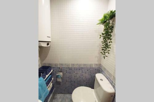 Apartamento Piso C�ntrico Con Terraza.