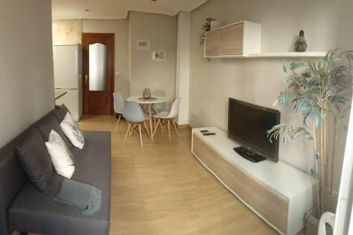 Apartamento Piso C�ntrico Con Terraza.