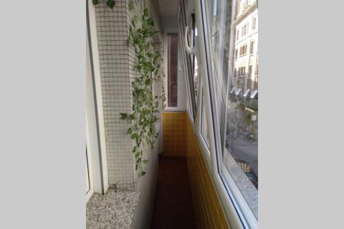 Apartamento Piso C�ntrico Con Terraza.