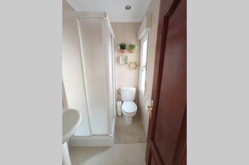 Apartamento Piso C�ntrico Con Terraza.