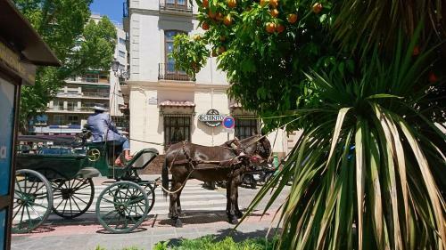 Apartamento La Alcandora