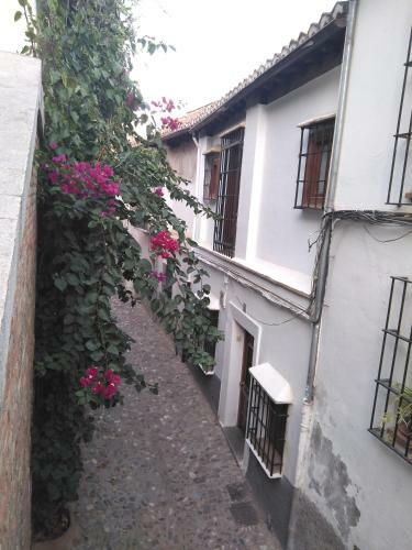 Apartamento Casa-mirador La Alhacena