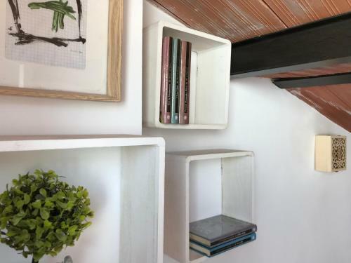 Apartamento �tico. Centro. Penthouse