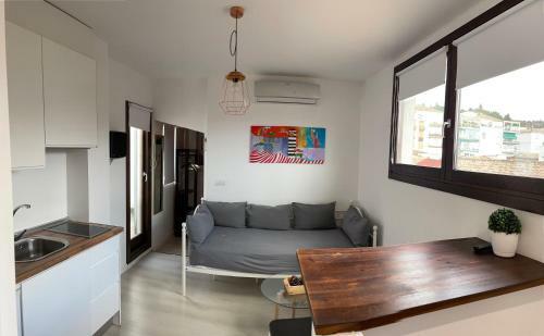 Apartamento �tico. Centro. Penthouse