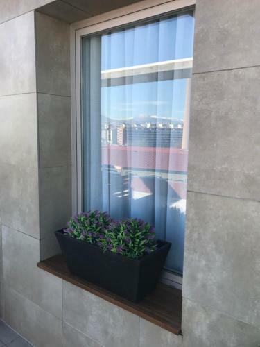 Apartamento Granada Lights