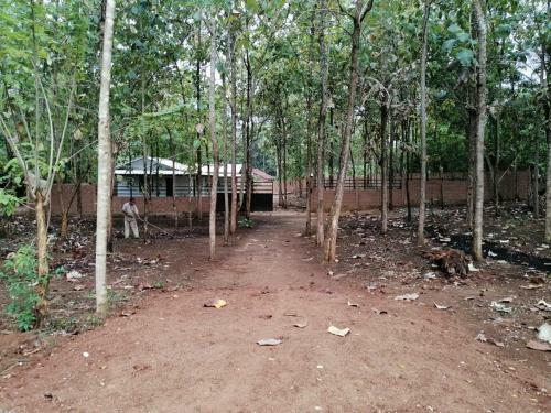 The Cascade Lodge