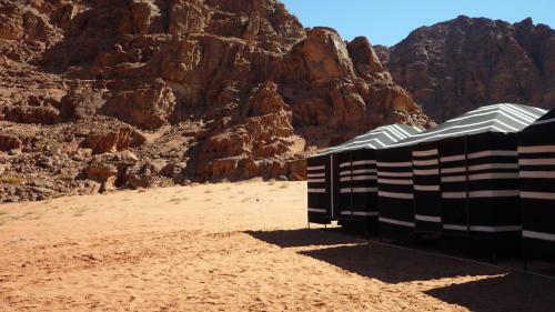Wadi Rum Bedouin Camp And Desert Tours