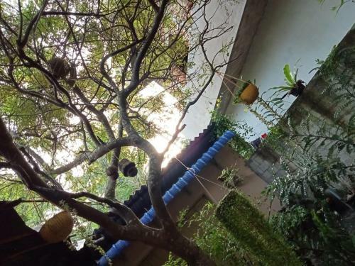 Villa Lakmali Homestay