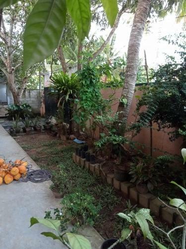 Villa Lakmali Homestay