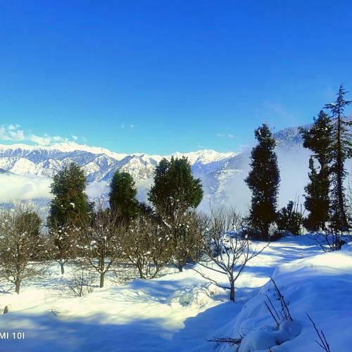 The Mountain View Cottage (Jibhi)