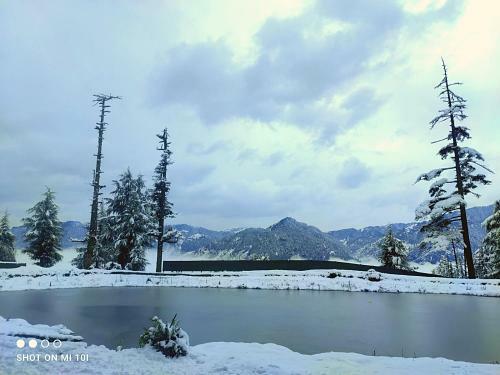 The Mountain View Cottage (Jibhi)
