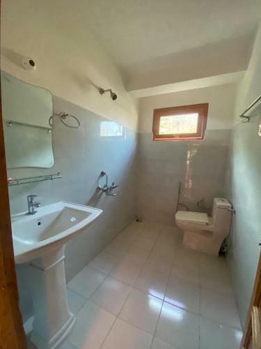 Bed & Breakfast Lost Cafe & Stays