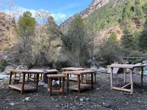 Albergue Earthlings Backpacker Den