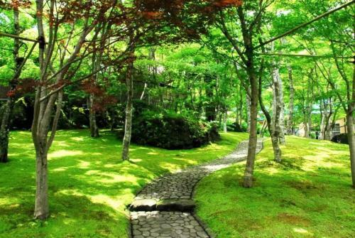 Forest Villa Hakone