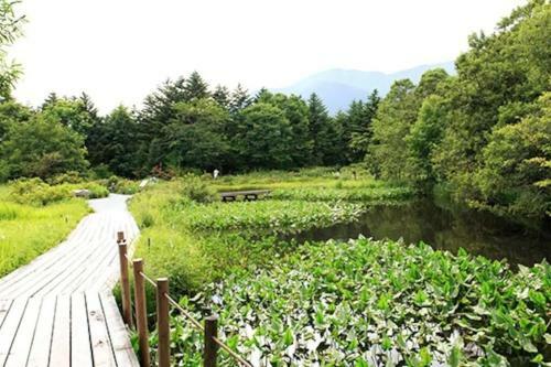Forest Villa Hakone