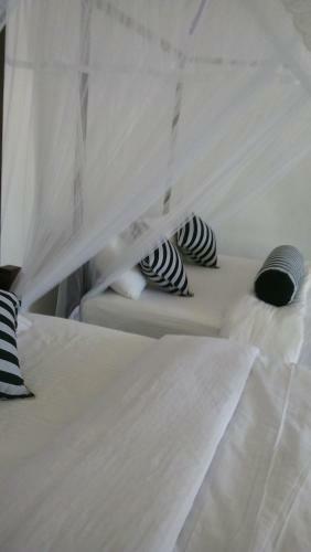Welcome Homestay