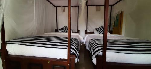 Welcome Homestay