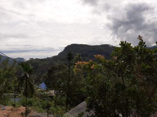 Owinhill Homestay