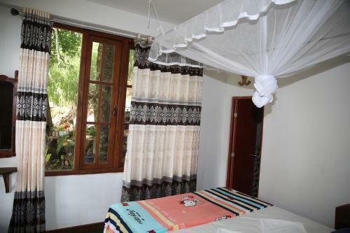 Dream Nest