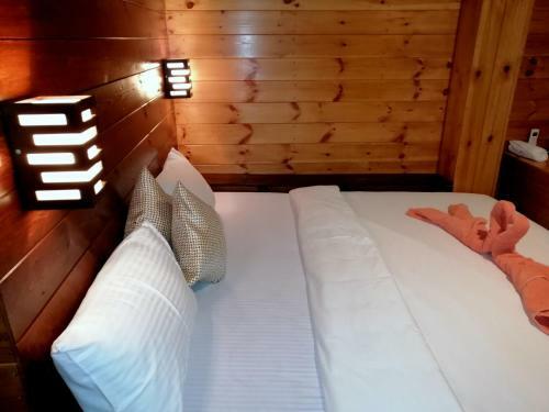 Hostal New Cabin Ella