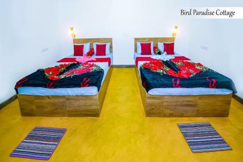 Bird Paradise Cottage