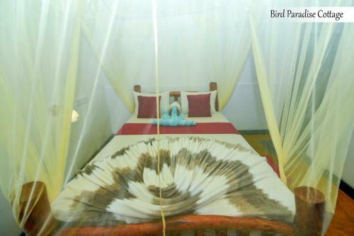 Bird Paradise Cottage