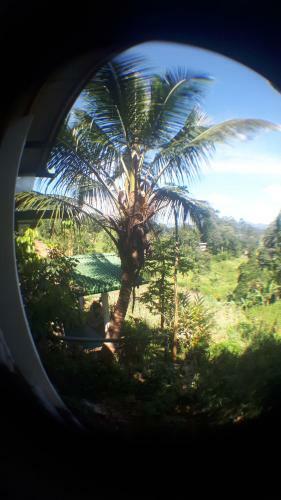 New Farmers Paradise