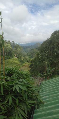 New Farmers Paradise