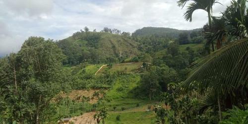New Farmers Paradise