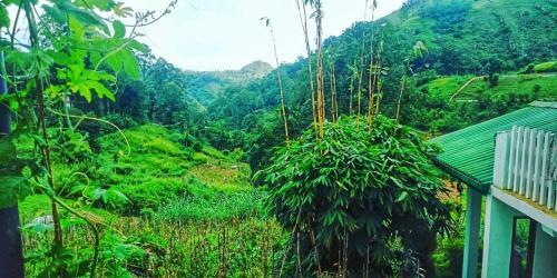 New Farmers Paradise