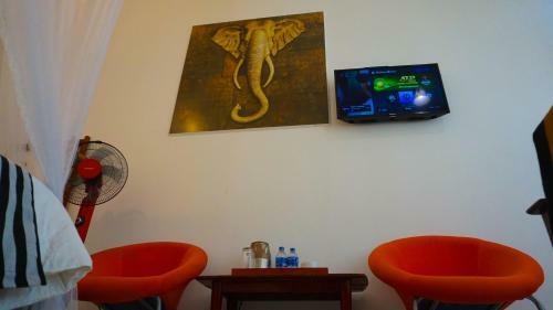 Hostal Shining Green View