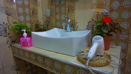 Hostal Shining Green View