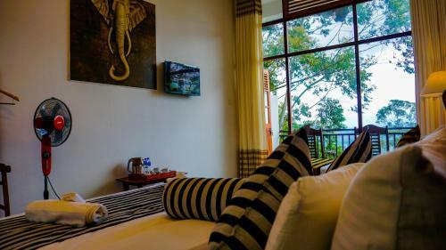Hostal Shining Green View