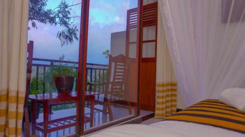 Hostal Shining Green View