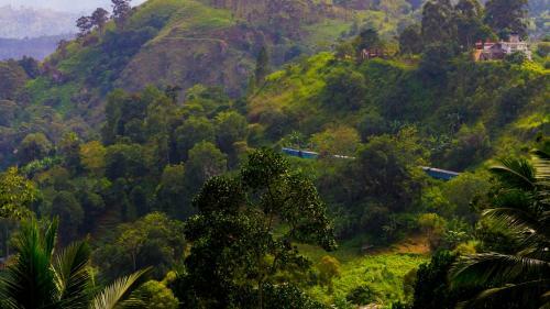 Hostal Shining Green View