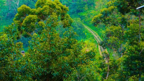 Hostal Shining Green View