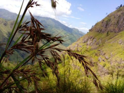Hostal Ella Walkers Nest