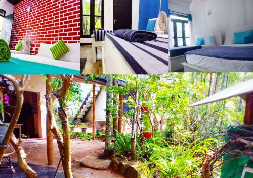Hostal Ella Walkers Nest