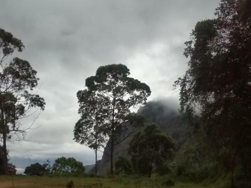 Hostal Whiteflowerhomestayella