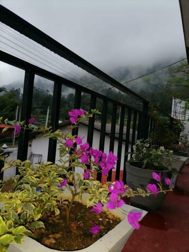 Sashen Hotel