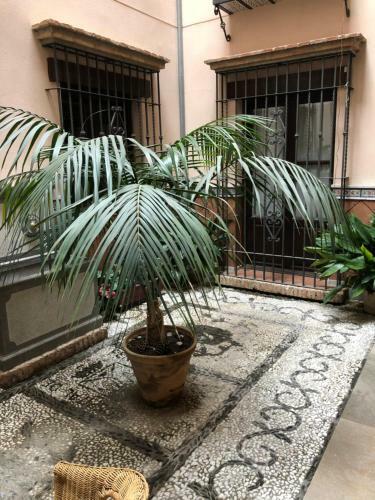 Apartamento Peregrinos