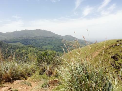 Hotel Eco Zone Resort
