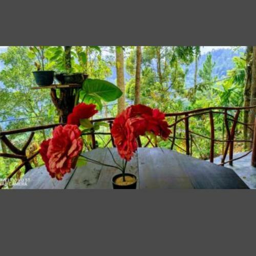 Bed & Breakfast Glad La Ella