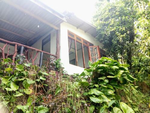 Sri Bhavan Ella