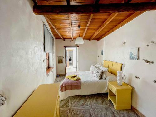 Eco Reyna House