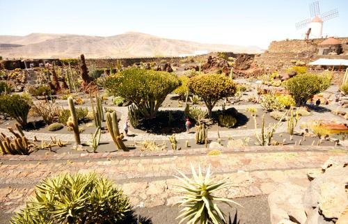 Casa Valle De Palmeras